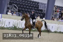 25R13_09350 thumbnail
