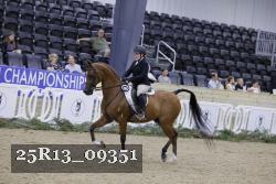 25R13_09351 thumbnail