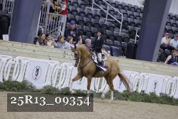 25R13_09354 thumbnail