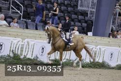 25R13_09355 thumbnail