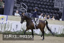25R13_09359 thumbnail