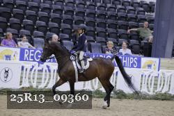 25R13_09360 thumbnail