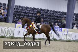 25R13_09363 thumbnail