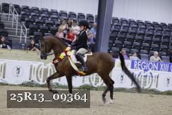 25R13_09364 thumbnail