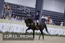25R13_09366 thumbnail