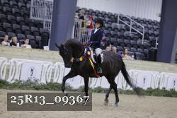 25R13_09367 thumbnail