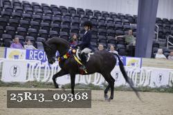 25R13_09368 thumbnail