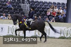 25R13_09370 thumbnail