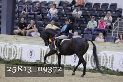 25R13_09372 thumbnail