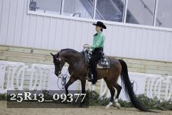 25R13_09377 thumbnail