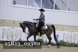 25R13_09380 thumbnail