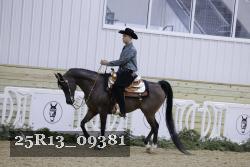 25R13_09381 thumbnail