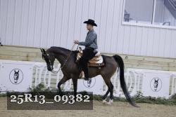 25R13_09382 thumbnail