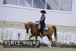 25R13_09385 thumbnail