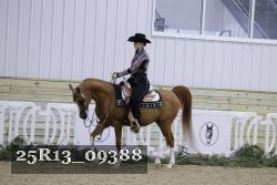 25R13_09388 thumbnail