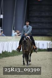 25R13_09390 thumbnail