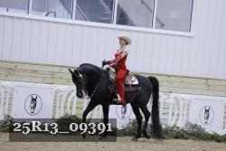 25R13_09391 thumbnail