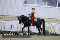 25R13_09393 thumbnail