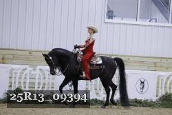 25R13_09394 thumbnail