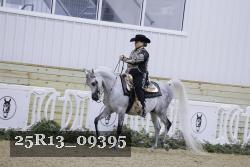 25R13_09395 thumbnail