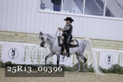25R13_09396 thumbnail