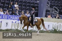25R13_09416 thumbnail