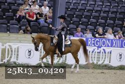 25R13_09420 thumbnail