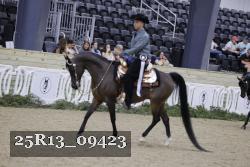 25R13_09423 thumbnail