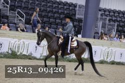 25R13_09426 thumbnail