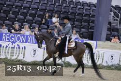 25R13_09427 thumbnail
