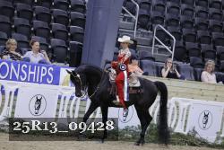 25R13_09428 thumbnail