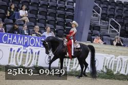 25R13_09429 thumbnail