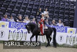 25R13_09430 thumbnail