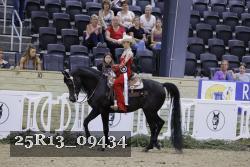 25R13_09434 thumbnail