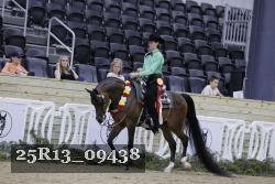 25R13_09438 thumbnail