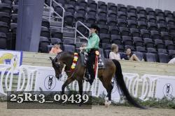 25R13_09439 thumbnail