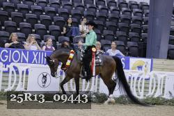 25R13_09443 thumbnail