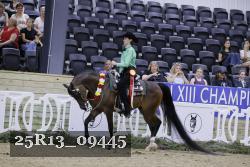 25R13_09445 thumbnail