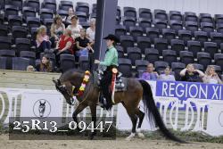 25R13_09447 thumbnail