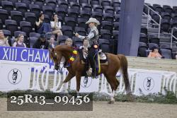 25R13_09456 thumbnail