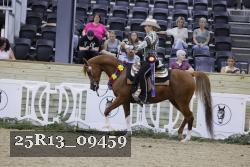 25R13_09459 thumbnail