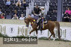 25R13_09460 thumbnail