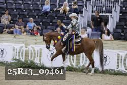 25R13_09461 thumbnail