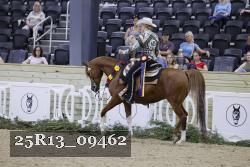 25R13_09462 thumbnail