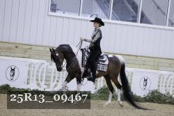 25R13_09467 thumbnail