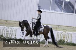 25R13_09469 thumbnail