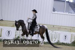 25R13_09470 thumbnail