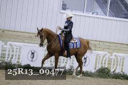 25R13_09477 thumbnail