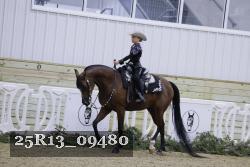 25R13_09480 thumbnail