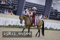 25R13_09500 thumbnail